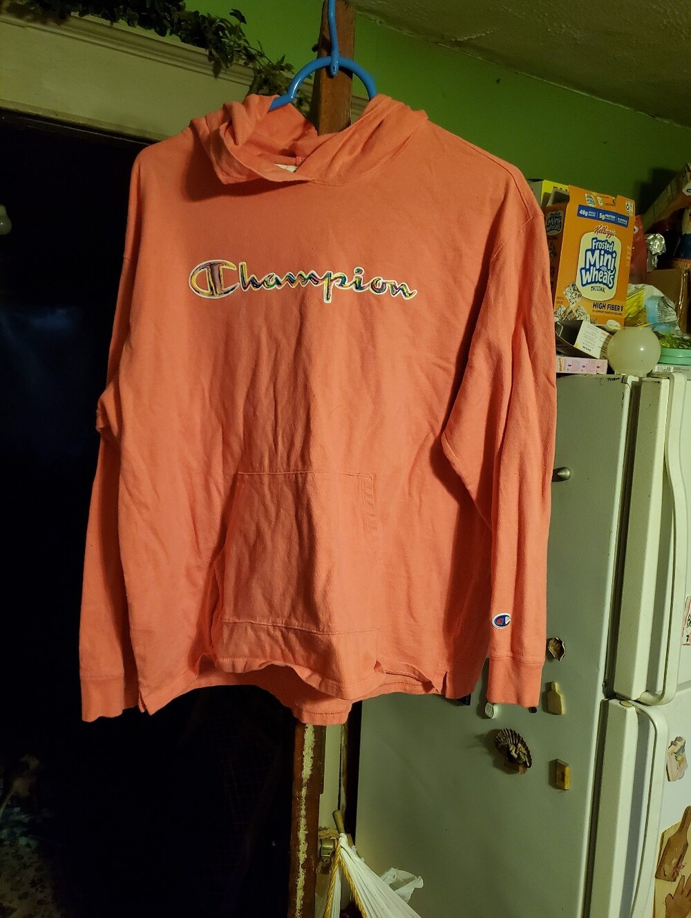 Champion Men’s Coral Hoodie Sweatshirt
